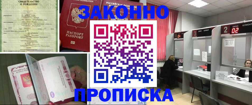 прописка в квартире в Новосибирской области